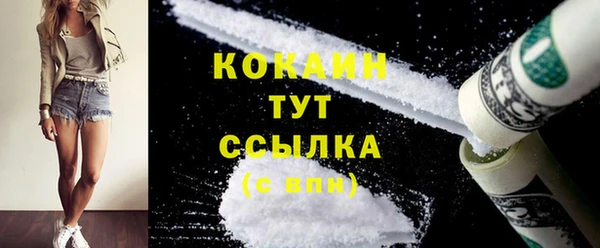 ECSTASY Инта