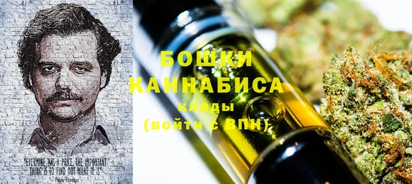spice Инсар