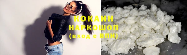 spice Инсар