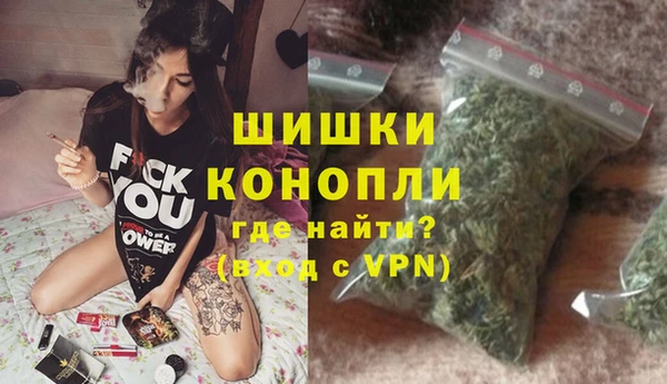 spice Инсар