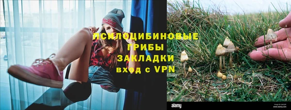 ECSTASY Инта