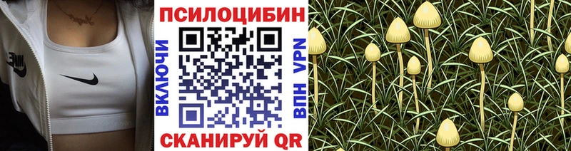 Купить где  Новая Ляля  Галлюциногенные грибы прущие грибы 